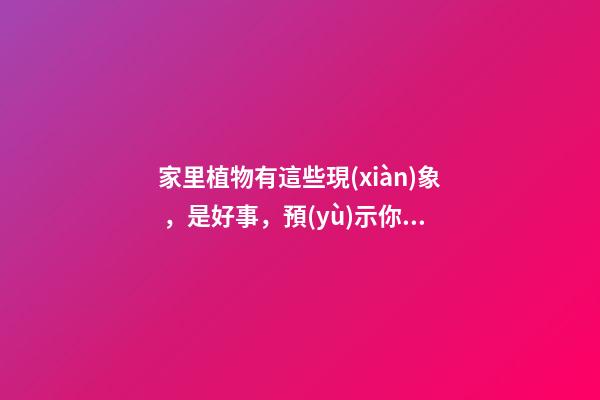 家里植物有這些現(xiàn)象，是好事，預(yù)示你家要發(fā)大財(cái)了！
